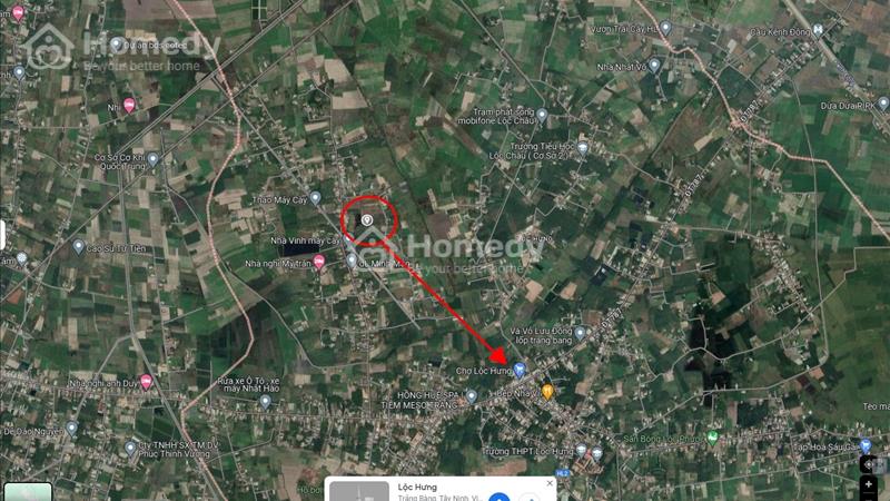 Bán Đất 1452m2, 2tỷ100 Ở P.Lộc Hưng, TX.Trảng Bàng - Ảnh 4