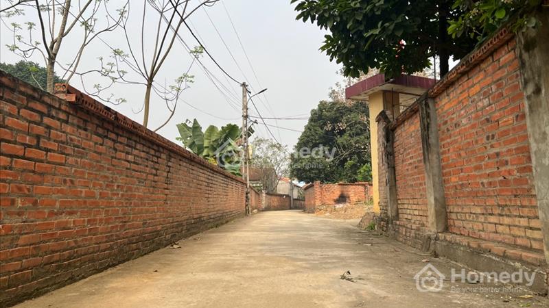 Lô góc siêu đẹp. Phân lô được.gần với khu CNC.tường bao danh giới rõ ràng đường thông 0967125960 - Ảnh 3