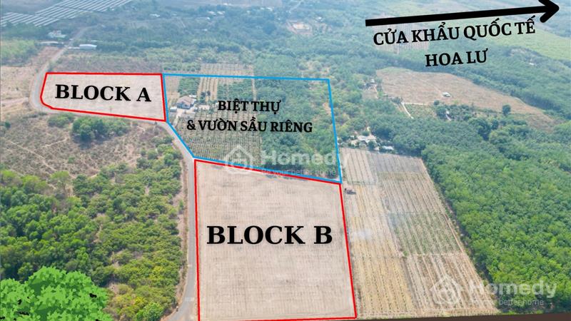 Cần bán đất 3 mặt tiền, Quốc lộ 13, Sổ hồng sẵn, Giá 3xx  - Ảnh 4