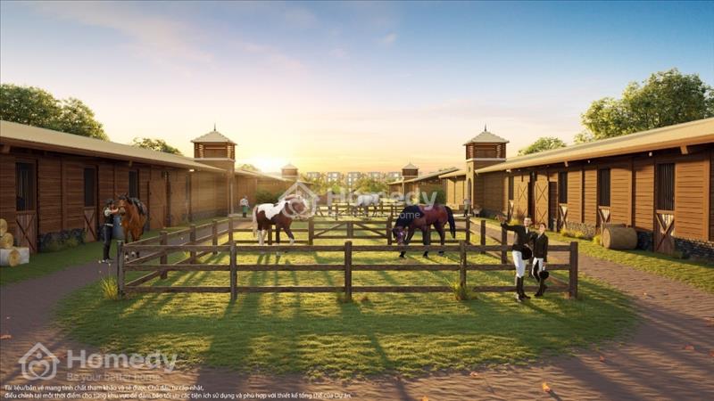 Dự án Vinhomes Royal Island - Ảnh 7