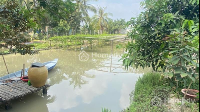 Bán 1 công đất có sẵn vườn, ao, chuồng Phường 5 giá rẻ nhất khu vực - Ảnh 1