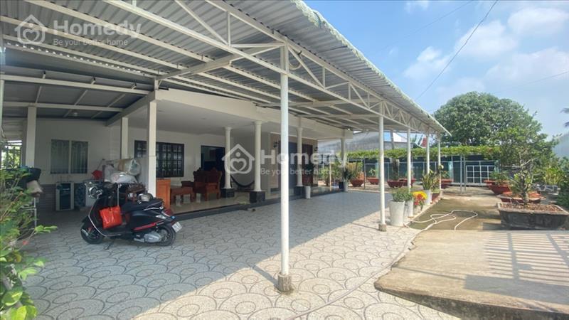 Bán biệt thự sân vườn 2000m2 Lộc Hoà chuẩn vườn ao nhà - Ảnh 1