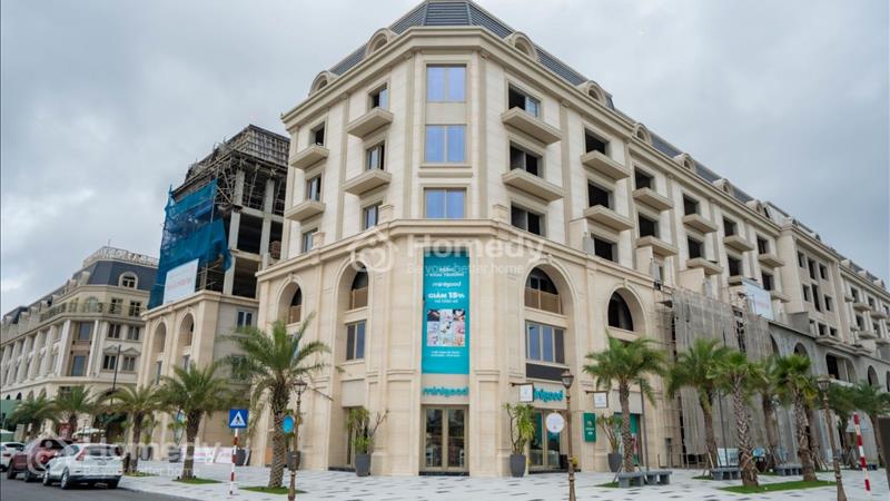 Ra mắt giỏ hàng Shophouse mặt biển đẹp nhất dự án Regal Legend Quảng Bình - Ảnh 2