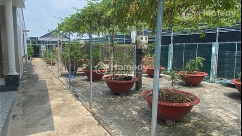 Bán biệt thự sân vườn 2000m2 Lộc Hoà chuẩn vườn ao nhà - Ảnh 5