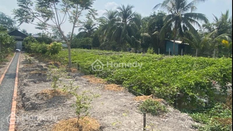 Bán biệt thự sân vườn 2000m2 Lộc Hoà chuẩn vườn ao nhà - Ảnh 6