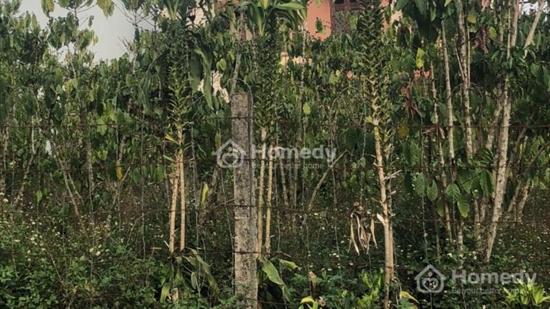 Bán đất mặt tiền đường Yên Thế, Phường 2, Tp Bảo Lộc giá 2,4 tỷ - Ảnh 2