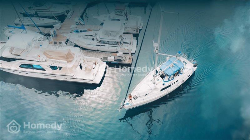 Biệt thự đơn lập đảo vũ yên - Vinhomes Royal Island - Ảnh 2
