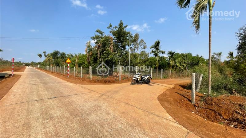 Đất komleo Hoà thắng Làm nhà vườn cực đẹp. Buôn ma thuột, đăk lăk - Ảnh 3