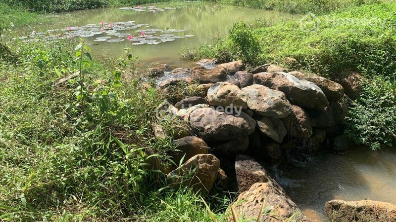 Cần bán nhanh lô đất 4,8 sào ở thôn 10 Lộc Thành - Bảo Lâm. Giá 2 tỷ - Ảnh 2