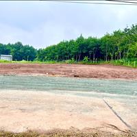 kẹt tiền sang gaaps4 sổ (20x40=800m2)195tr thổcư sổ riêng đấtngay ql13,xát kcn,chơn thành,bình long
