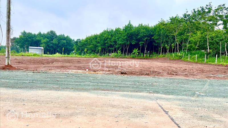 kẹt tiền sang gaaps4 sổ (20x40=800m2)195tr thổcư sổ riêng đấtngay ql13,xát kcn,chơn thành,bình long - Ảnh 1