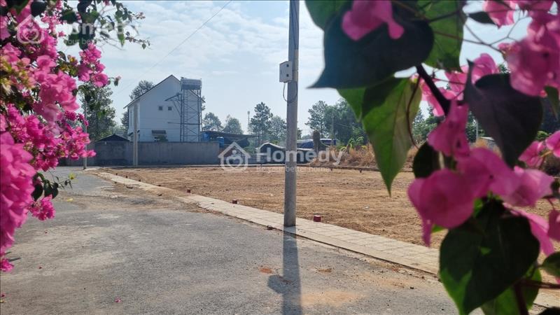 ‼️! Siêu Phẩm: Đất thổ cư sổ riêng Phường Định Hoà-TP Thủ Dầu Một - Ảnh 6