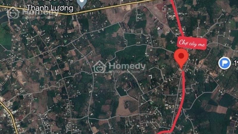 kẹt tiền sang gaaps4 sổ (20x40=800m2)195tr thổcư sổ riêng đấtngay ql13,xát kcn,chơn thành,bình long - Ảnh 4