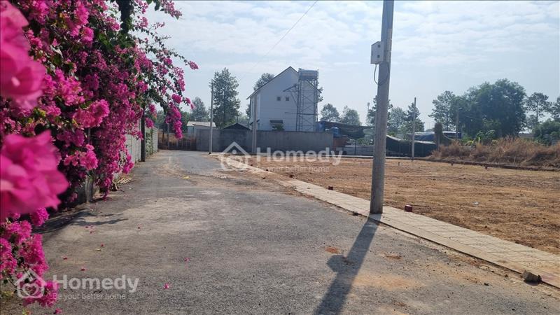 ‼️! Siêu Phẩm: Đất thổ cư sổ riêng Phường Định Hoà-TP Thủ Dầu Một - Ảnh 7