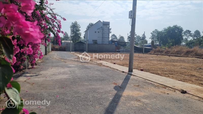 ‼️! Siêu Phẩm: Đất thổ cư sổ riêng Phường Định Hoà-TP Thủ Dầu Một - Ảnh 8