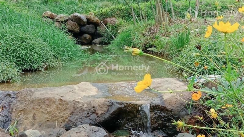 Cần bán nhanh lô đất 4,8 sào ở thôn 10 Lộc Thành - Bảo Lâm. Giá 2 tỷ - Ảnh 6