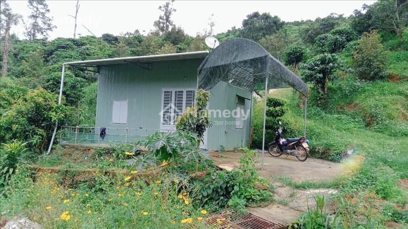 Cần bán nhanh lô đất 4,8 sào ở thôn 10 Lộc Thành - Bảo Lâm. Giá 2 tỷ - Ảnh 8