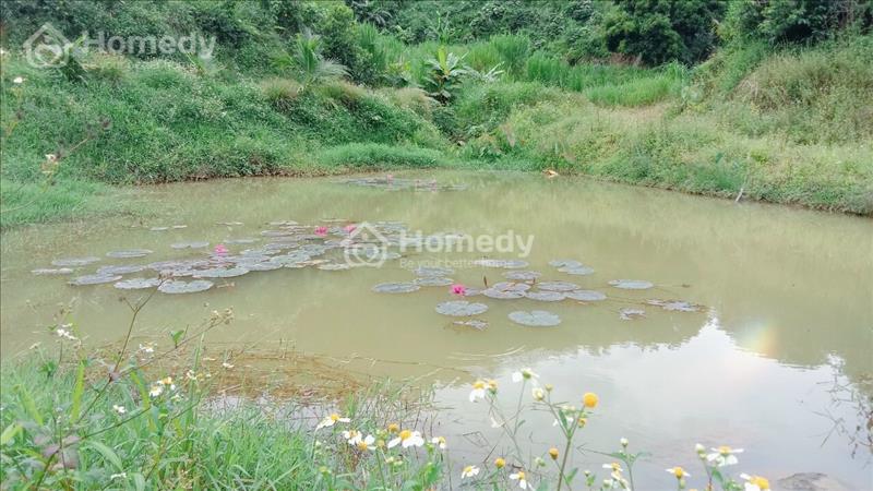 Cần bán nhanh lô đất 4,8 sào ở thôn 10 Lộc Thành - Bảo Lâm. Giá 2 tỷ - Ảnh 7