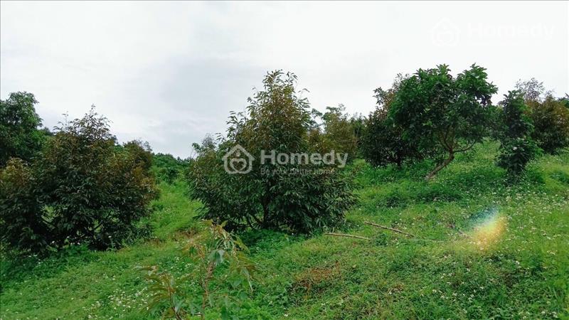Cần bán nhanh lô đất 4,8 sào ở thôn 10 Lộc Thành - Bảo Lâm. Giá 2 tỷ - Ảnh 3