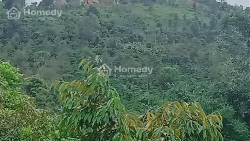 Cần bán nhanh lô đất 4,8 sào ở thôn 10 Lộc Thành - Bảo Lâm. Giá 2 tỷ - Ảnh 1