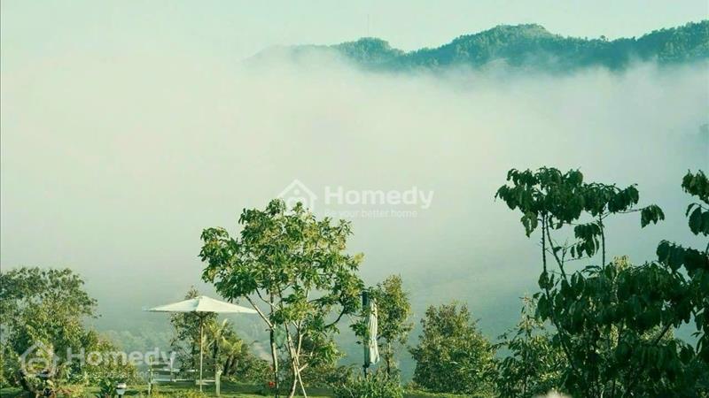 Rao đúng giá - thu đúng tiền. Đất nền chỉ 1tr5/m2, sẵn sổ công chứng sang tên ngay  - Ảnh 3