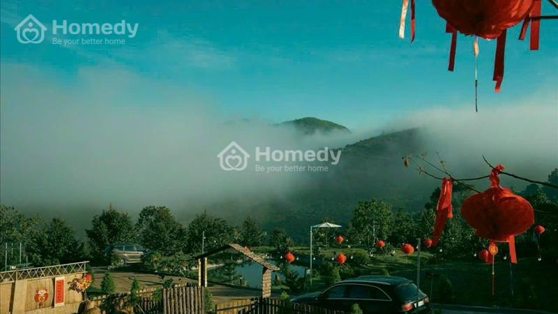 Đất nền Bảo Lộc 1000 m2 giá 1tỷ450 triệu/căn. Sổ sẵn công chứng sang tên ngay  - Ảnh 3