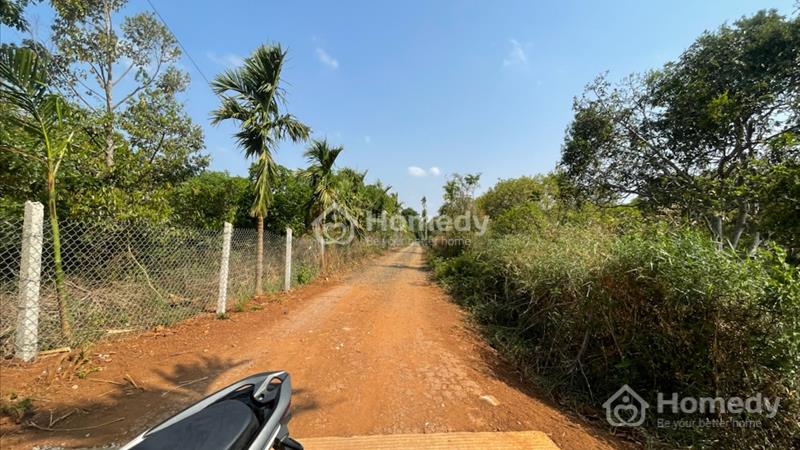 Đất komleo Hoà thắng Làm nhà vườn cực đẹp. Buôn ma thuột, đăk lăk - Ảnh 4