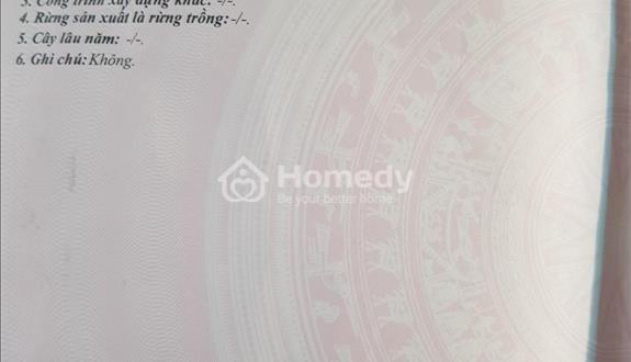 Tôi chính chủ cần bán lô đất tại Sơn Trà , Đà Nẵng , gần biển , khu du lịch biển ĐN - Ảnh 1