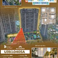 Bán căn 3 Ngủ view Nội khu, phân khu Cao cấp Masteri chỉ 60tr/1m2