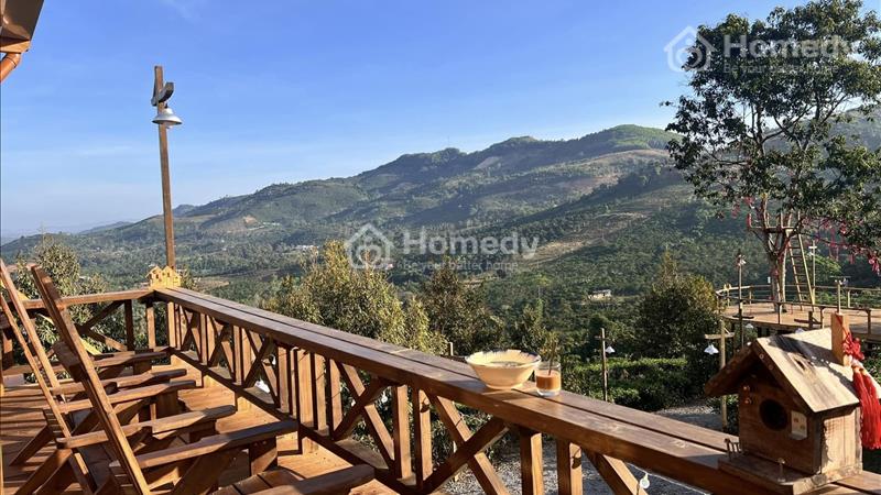 Bán đất xào, có thổ cư diện tích 1000m2 tại Làng Oa - Bảo Lộc! lưu ý GIÁ KO RẺ. - Ảnh 5