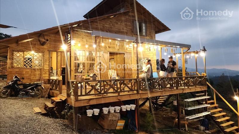 Bán đất xào, có thổ cư diện tích 1000m2 tại Làng Oa - Bảo Lộc! lưu ý GIÁ KO RẺ. - Ảnh 6