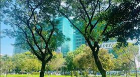 Chính thức mở bán 5 Shophouse Privia từ CĐT, căn góc 2 mặt tiền, sở hữu lâu dài, chiết khấu 10% - Ảnh 4