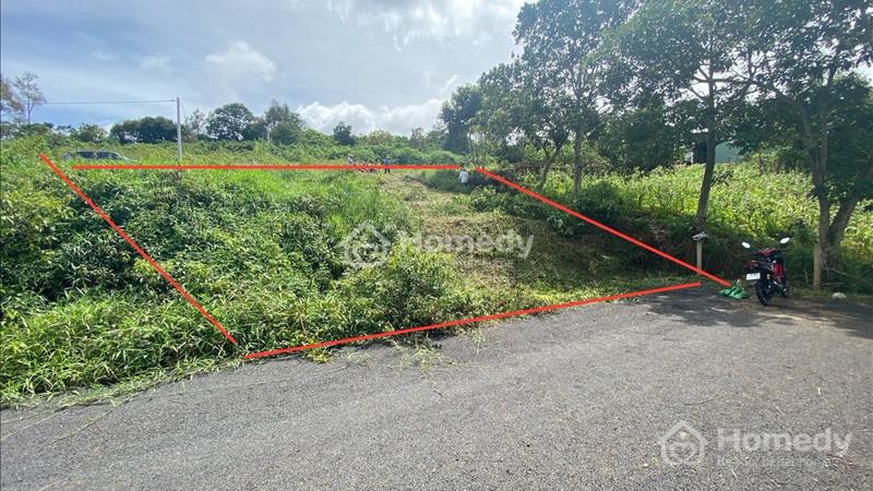 Ngộp! Lô đất 2 MT hẻm 278 Mạc Đĩnh Chi, Phường 2, Bảo Lộc - Ảnh 2