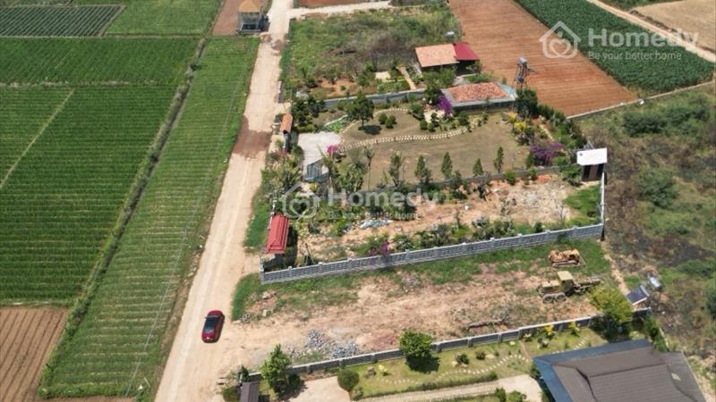 Bán nhà vườn ngay chân đèo Prenn - Ảnh 1