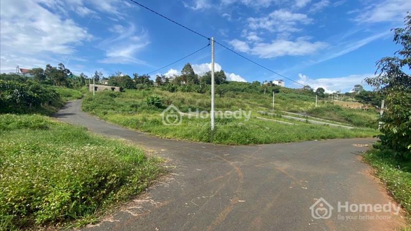 Ngộp! Lô đất 2 MT hẻm 278 Mạc Đĩnh Chi, Phường 2, Bảo Lộc - Ảnh 3