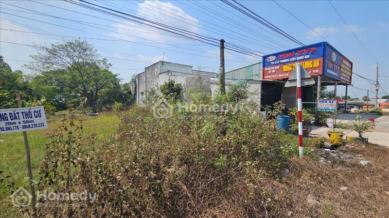 Đất thổ cư Mặt Tiền 20m Phước Chỉ ngay cạnh Trường học - Ảnh 4
