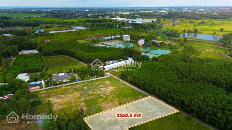 Hạ giá lô đất Long Phước - Đảm bảo giá rẻ nhất thị trường chỉ 3,0tr/m2 - Ảnh 1