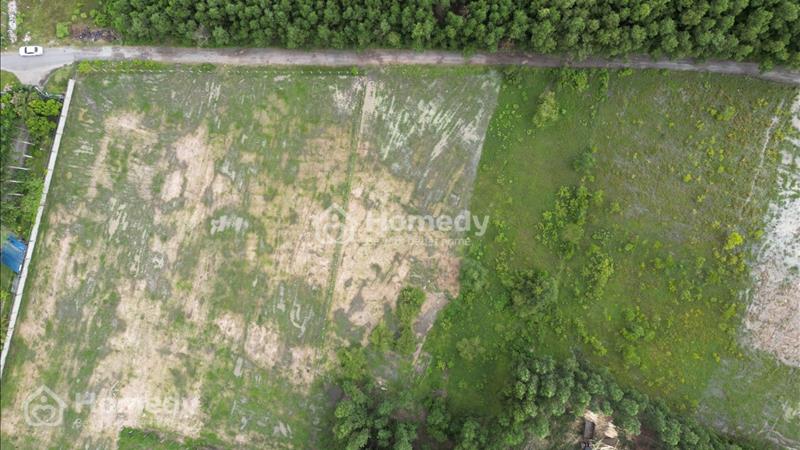 Hạ giá lô đất Long Phước - Đảm bảo giá rẻ nhất thị trường chỉ 3,0tr/m2 - Ảnh 4