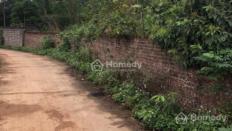 Bán 727m2 đất thổ cư Phú Cát-Quốc Oai-Hà Nội, bán đất thổ cư Hòa lạc-Thạch Thất-Hà Nội - Ảnh 1