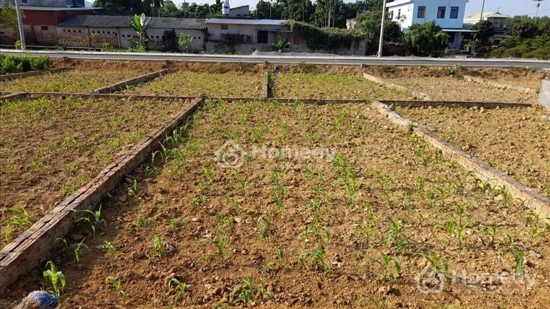 Bán đất nền dự án Huyện Thạch Thất - Hà Nội giá 1.50 Tỷ - Ảnh 1