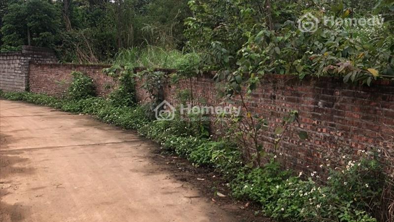 Bán 727m2 đất thổ cư Phú Cát-Quốc Oai-Hà Nội, bán đất thổ cư Hòa lạc-Thạch Thất-Hà Nội - Ảnh 2