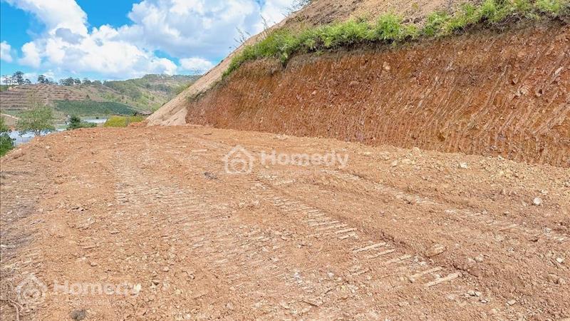 Chính chủ cần bán đất vườn tại Lạc Dương- Đà Lạt giá 2.7 tỷ 4.9sào - Ảnh 2