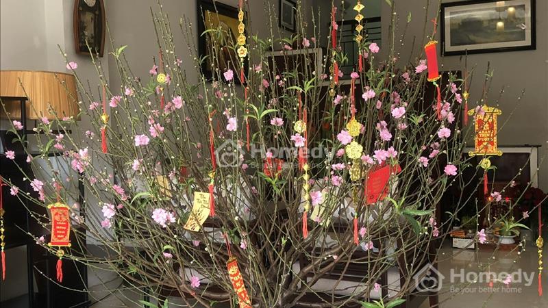 Nhà Đẹp Khu Trung Tâm Phường 8 Quận Phú Nhuận_Sổ Vuông Vức_Xe Hơi Vào Nhà - Ảnh 3