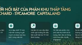 Mở Bán Nhà Phố,  Biệt Thự  View Hồ và Công Viên 75Ha TP Mới  BD  Phân Khu The Orchard  Sycamore - Ảnh 13