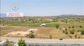 Bán 5 sào đất MT Hòn Lan Kê Gà, đường Hòn Lan đang thi công, cơ hội đầu tư du lịch biển - Ảnh 3