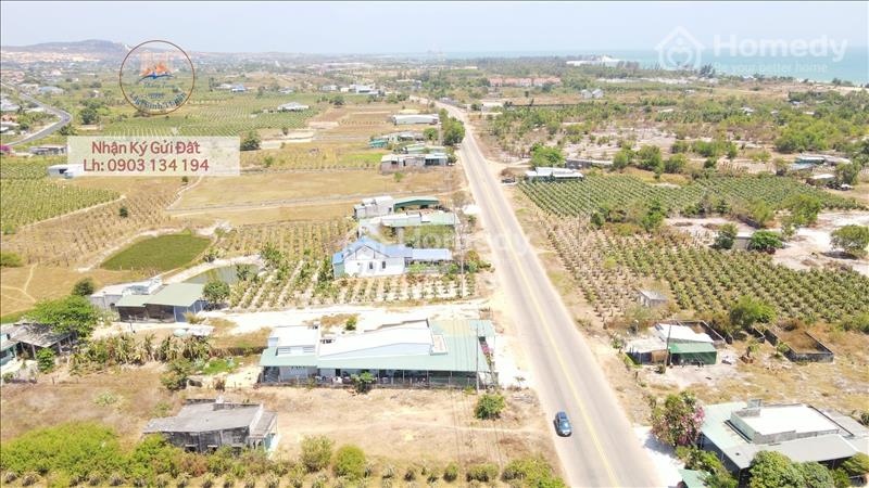 Bán nhanh lô 20m MT ĐT 719 Tân Thành Hàm Thuận Nam, dân cư hiện hữu, đầu tư du lịch - Ảnh 3