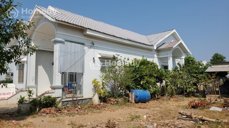 Bán Đất Kèm Nhà Hơn 1000m² hai mặt tiền đường Võ Văn Kiệt, phường 1 Trà Vinh Hàng Hiếm - Ảnh 2