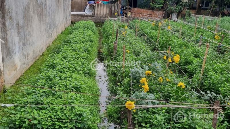 Lô đất đầu tư hợp lý tại ngõ 369 Đằng Hải, Hải An, giá chỉ 1,7 tỷ - Ảnh 1