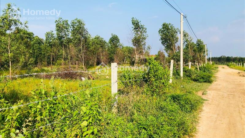 🔵 Bán Gấp Hàng Ngộp 20x54(1119m2) Lô 2 Lý Nam Đế Tân Phước Lagi - Ảnh 6