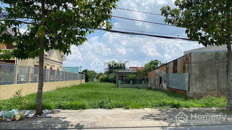 Bán đất mặt tiền ngay ủy ban công viên Ql50 diện tích 120m2 giá 980tr - Ảnh 2